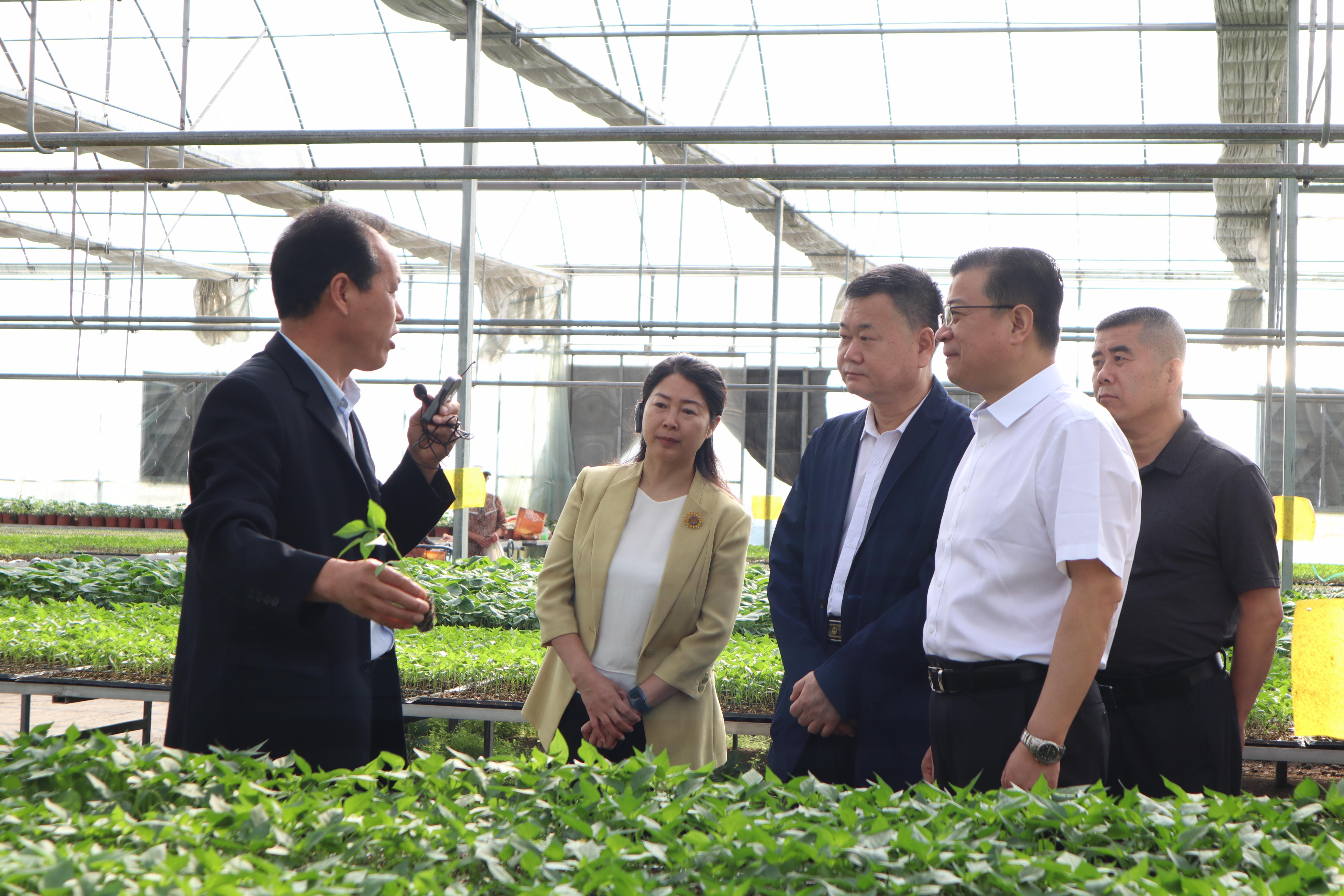 全省残联组织建设工作现场会3.jpg