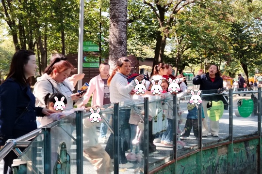 111.jpg